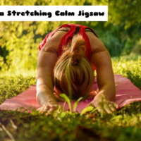  G2M Yoga Stretching Calm Jigsaw