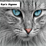 G2M Cat Eye’s Jigsaw