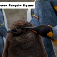 G2M Emperor Penguin Jigsaw