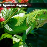 G2M Wild Iguana Jigsaw
