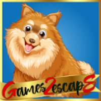 G2E Abandoned Dog Rescue …