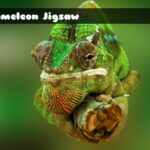 G2M Chameleon Jigsaw