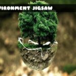 G2M Environment Jigsaw