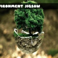 2M Environment Jigsaw