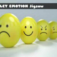 G2M Smiley Emotion Jigsaw