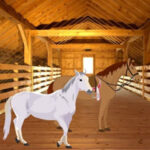 WOW-Pair Of Horse Love Escape HTML5
