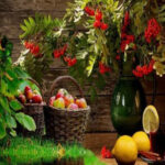 WOW-Flourish Fruits Forest Escape HTML5