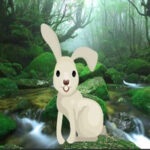 HOG-Save The Little Rabbit HTML5