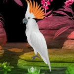 WOW-Fantasy White Bird Escape HTML5