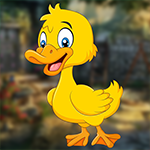 G4K Funny Duck Escape