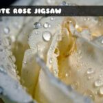 G2M White Rose Jigsaw