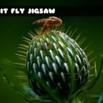 G2M Fruit Fly Jigsaw