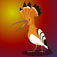 G2J Eurasian Hoopoe Bird …