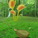 G2R-Escape From Plant Forest HTML5