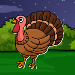 FG Rescue The Turkey From Forest