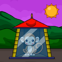 G2J Baby Monkey Rescue