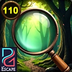 PG Hidden Object 110