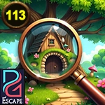 PG Hidden Object 113