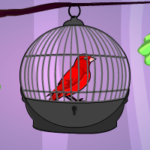 G2M Red Bird Escape