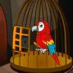G2M Rescue The Red Parrot