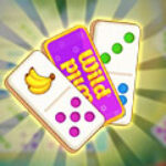 Domino Solitaire