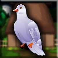 G2J White Pigeon Bird Escape