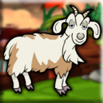 G2J Barbari Goat Rescue