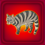 G2J Civet Cat Escape