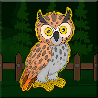 G2J Long Eared Owl Escape