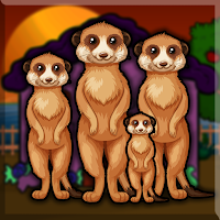 G2J Grey Mongoose Family …