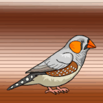 G2J Help The Australian Zebra Finch