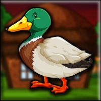  G2J Mallard Duck Escape …