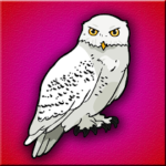 G2J Snowy Owl Escape