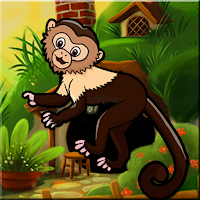 G2J Squirrel Monkey Escap…
