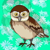 G2J Pygmy Owl Escape