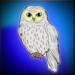 G2J Ural Owl Escape