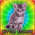FG Couple Kitten Escape
