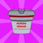 G2J Find The Human Organ Escape