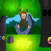 G2M Funny Monkey Forest Escape