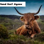 G2M Scotland Beef Jigsaw