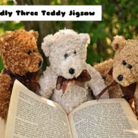Cuddly Three Teddy