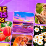 Puzzle Masters: Travelers