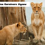 G2M Africa Carnivore Jigsaw
