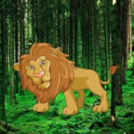 G2R-Amazon Lion Forest Escape HTML5