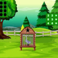 G2J Anas Platyrhynchos Escape