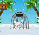 G2J Arctic Fox Rescue from Cage