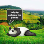 G2R Awaken The Sluggish Panda