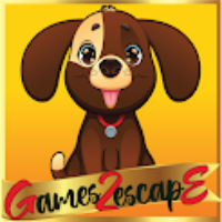 G2E Brown Puppy Rescue HT…
