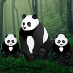 G2R Big-Baby Twin Panda Escape HTML5
