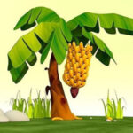 WOW-Banana Wallpaper Land Escape HTML5